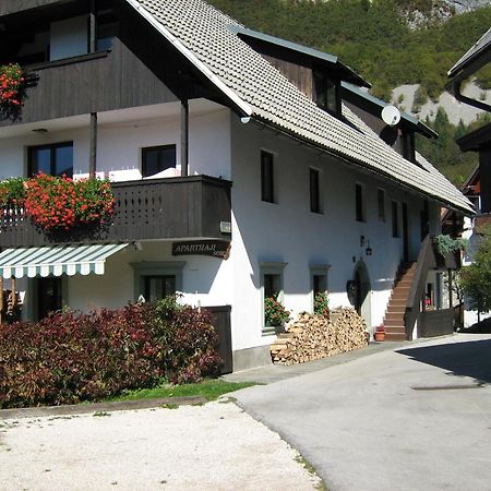 Apartmaji Hodnik Stara Fuzina Bohinji-tó Kültér fotó